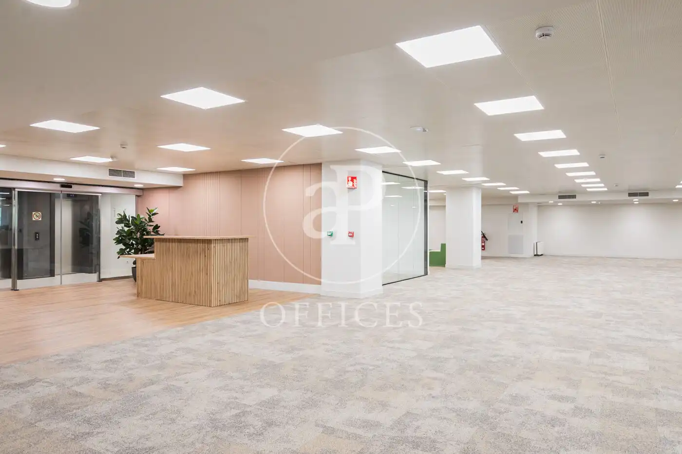 Office space to rent in Carrer d'Àvila, imagen 4