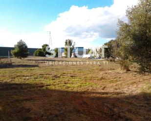 Terreny industrial de lloguer en Abrera