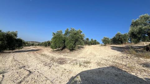 Foto 5 de Finca rústica en venta en Jauja, Lucena