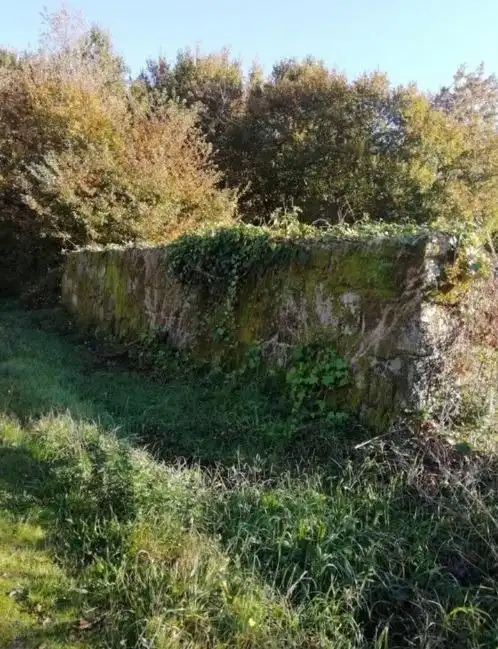 Terreni e lotti in vendita a Amoeiro, imagen 7