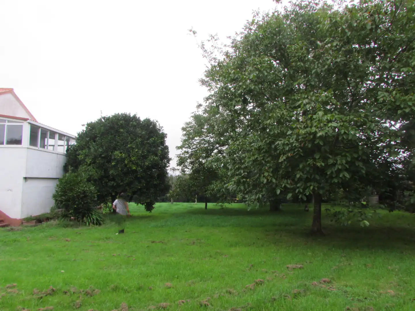 Casa o xalet en venda en Ferrol amb Jardí privat i Traster