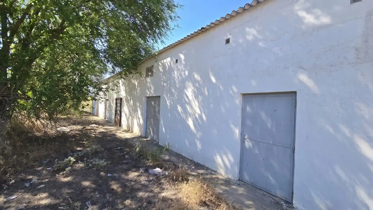 Nave industrielle à vendre à Carretera de Loranca, imagen 7