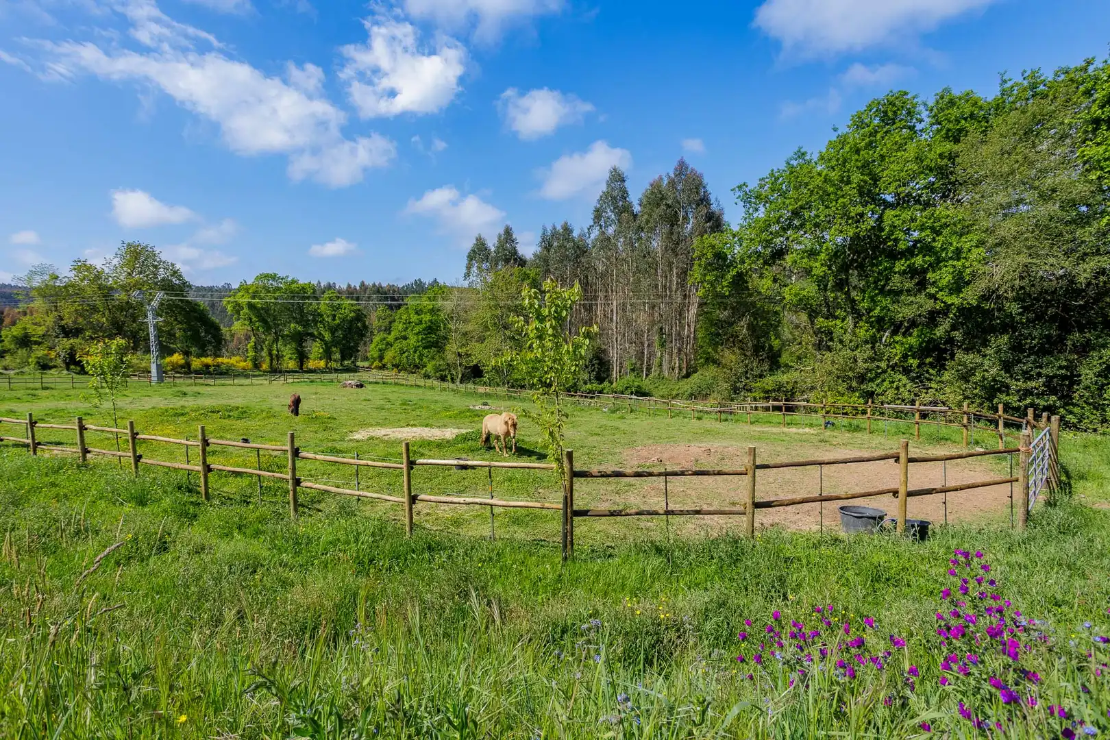 Villa à vendre à Pol, imagen 24