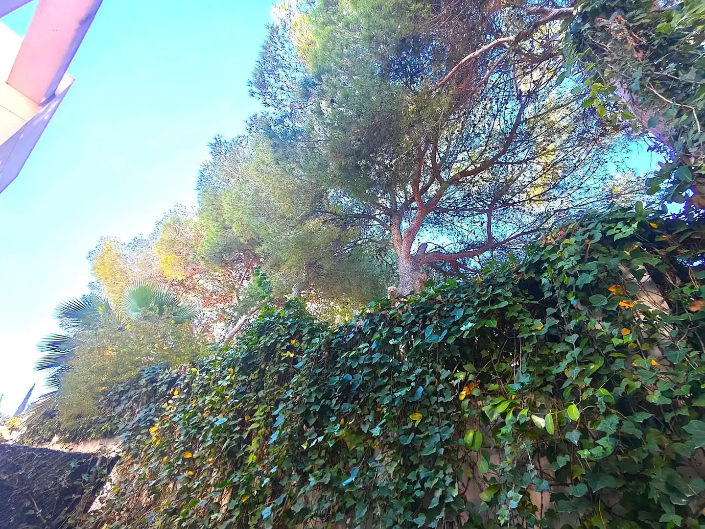 Jardí de Casa o xalet en venda en Orihuela amb Aire condicionat, Terrassa i Traster