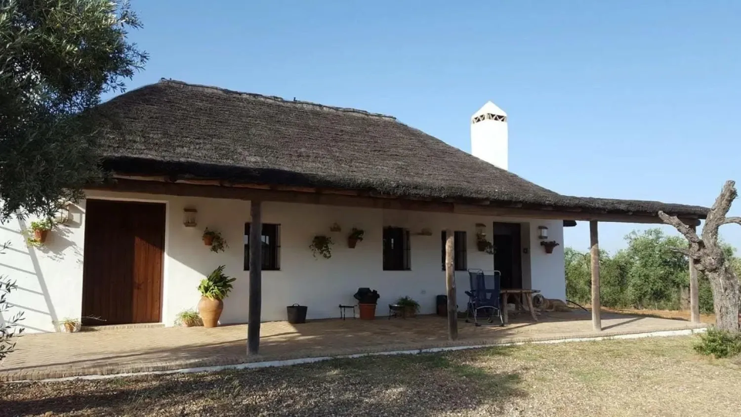 Garden of Country house for sale in Villamanrique de la Condesa  with Private garden and Storage room