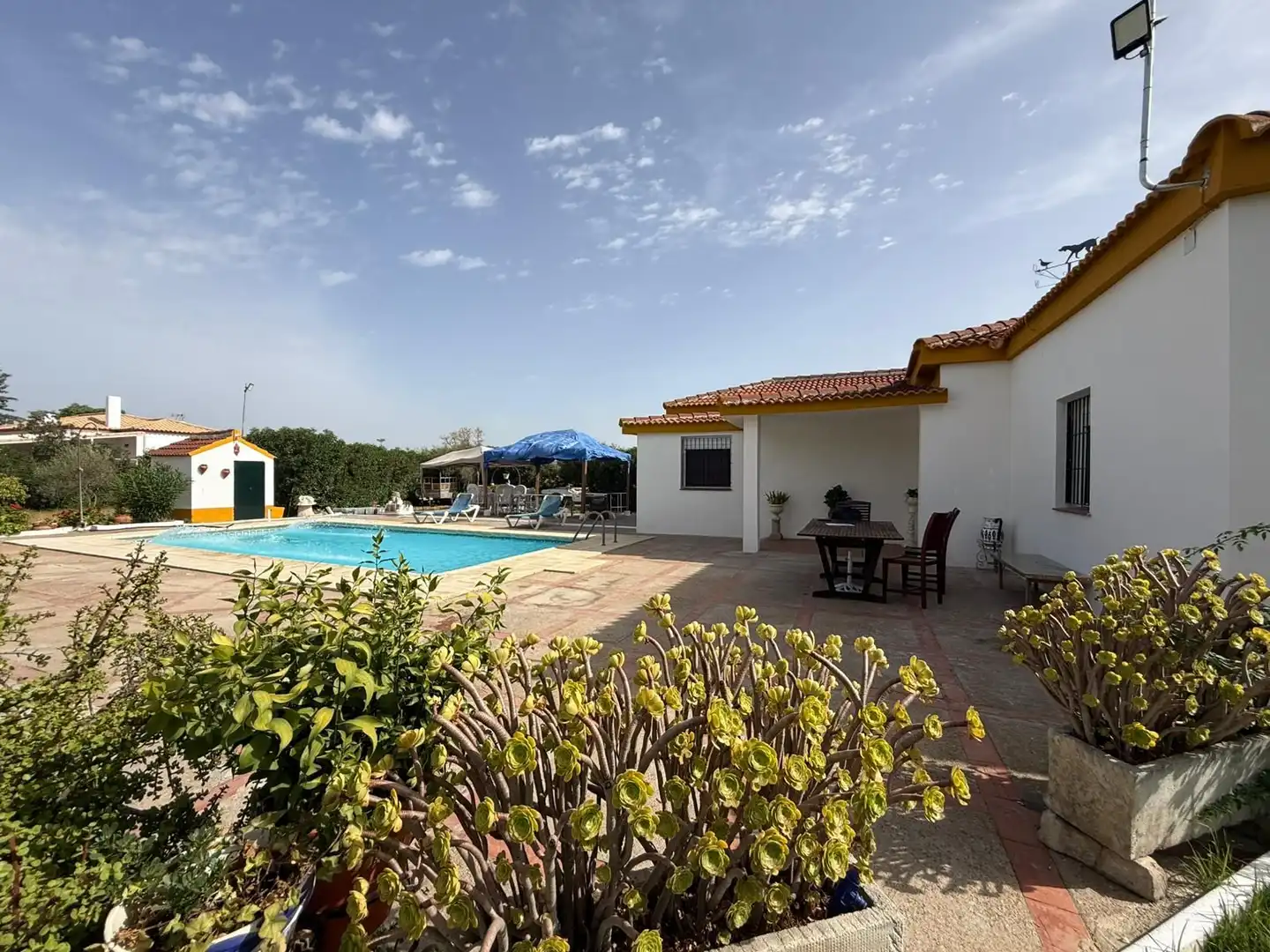 Piscina de Casa o chalet en venta en Carmona con Jardín privado, Terraza y Piscina