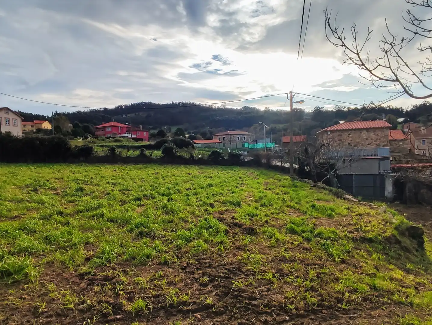 Rural land for sale in armenton, imagen 3