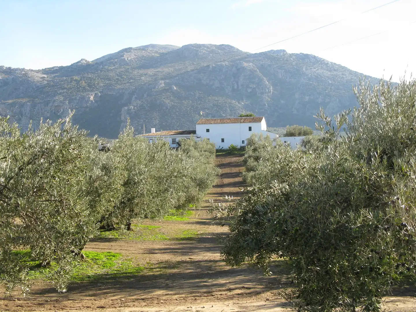 Maison rustique avec piscine à vendre à Villanueva del Rosario, imagen 30