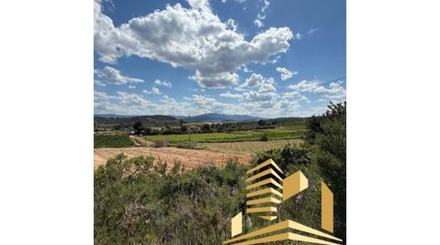 PARCELA EN VENTA EN COSCOJAR GODELLETA