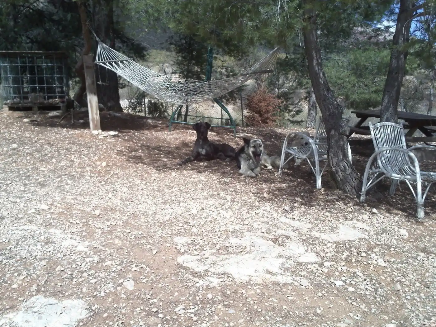 Wohnbaugrundstück zum Verkauf in Monóvar  / Monòver, imagen 29