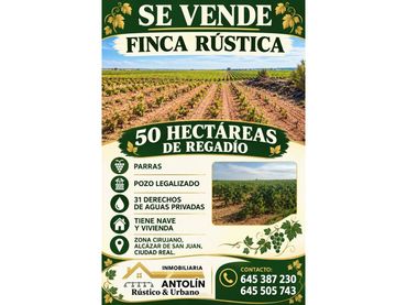 Terreno rustico in vendita a Alcázar de San Juan