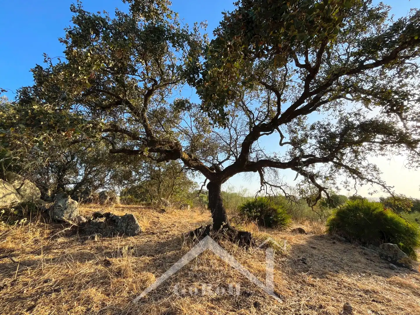 Terreno en venta en Guillena