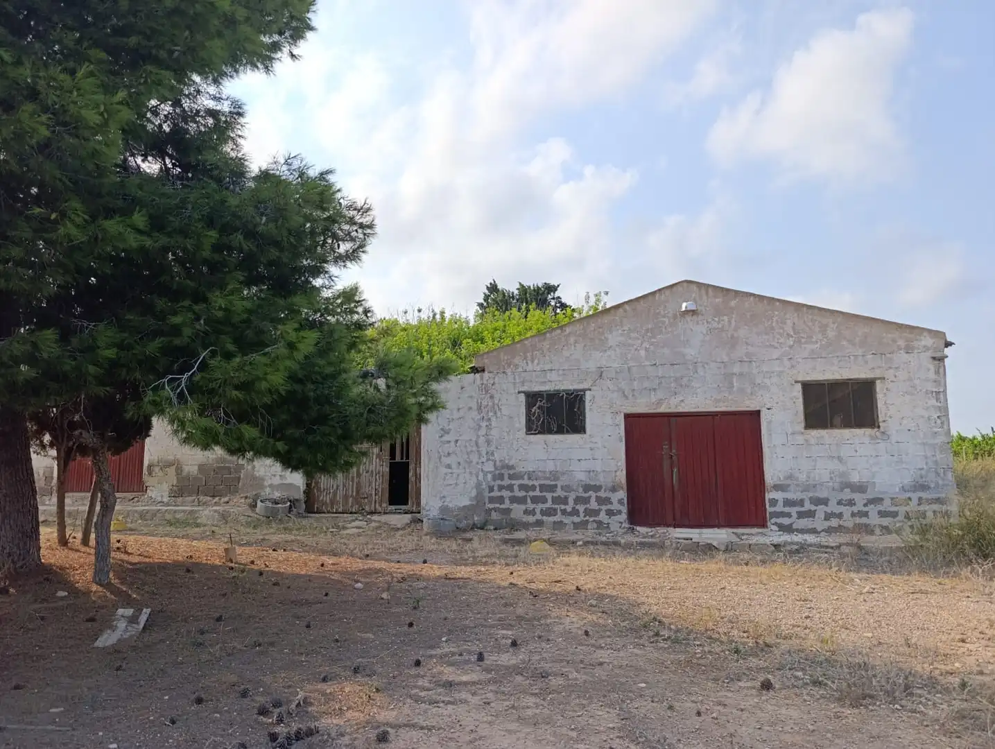Nau industrial en venda a San Pedro del Pinatar, imagen 7