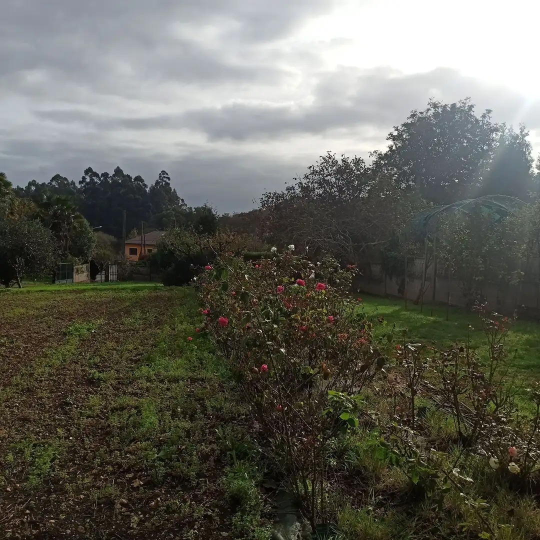 Terreni e lotti in vendita a Sada (A Coruña), imagen 10