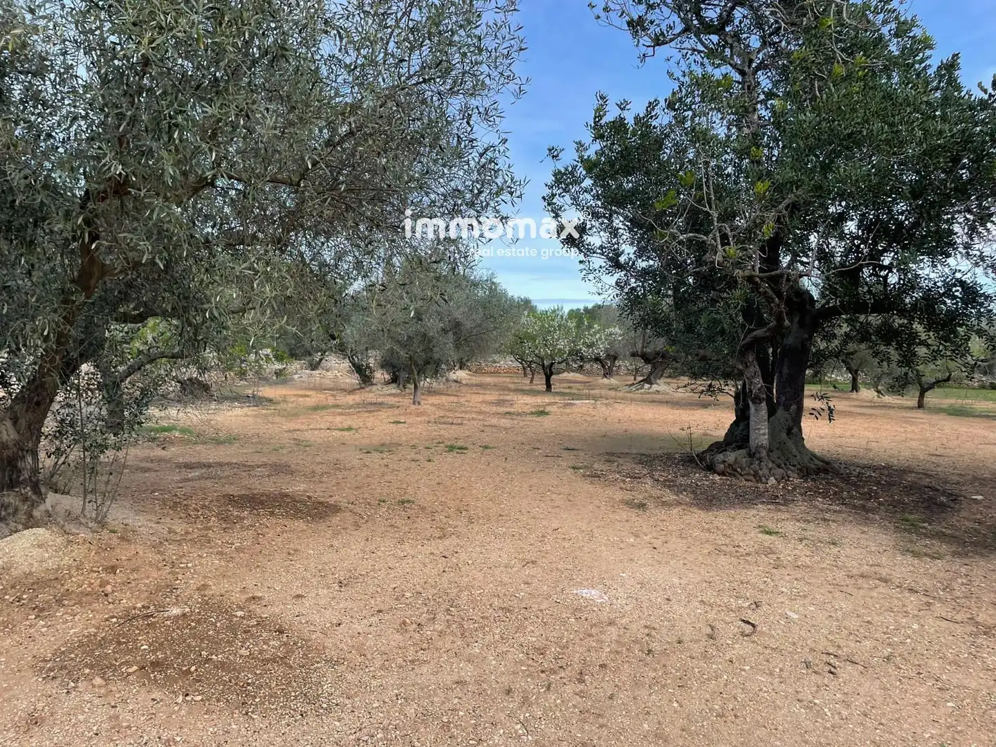 Residential land for sale in 10, imagen 16