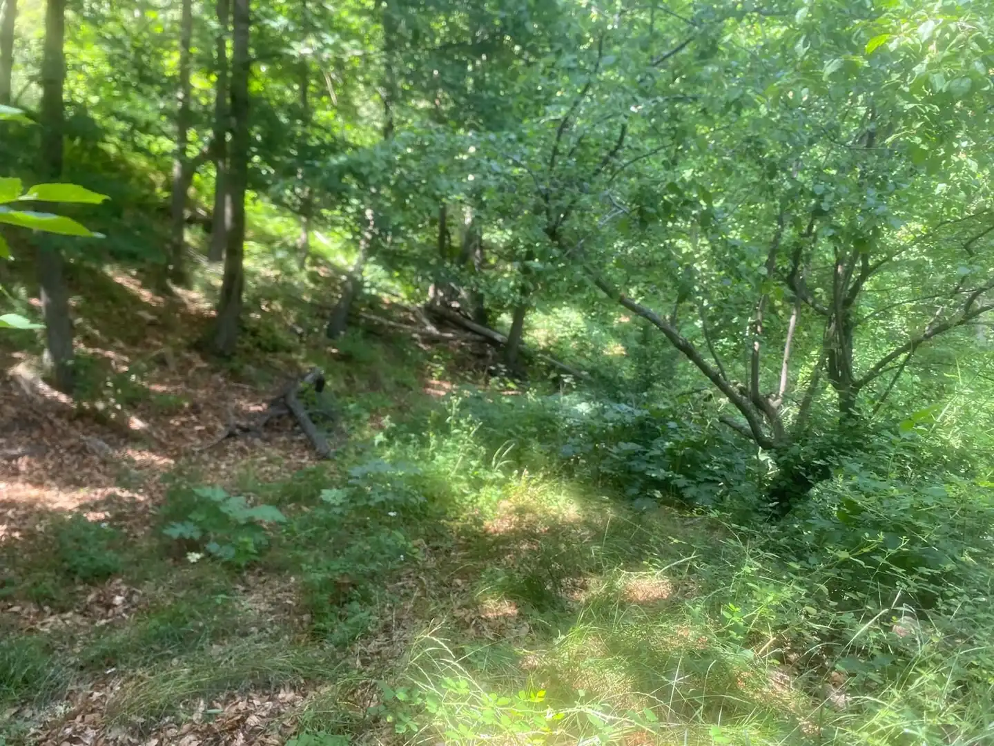 Casa amb jardí en venda a Güéjar Sierra, imagen 35