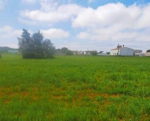 Residencial en venda en Conil de la Frontera