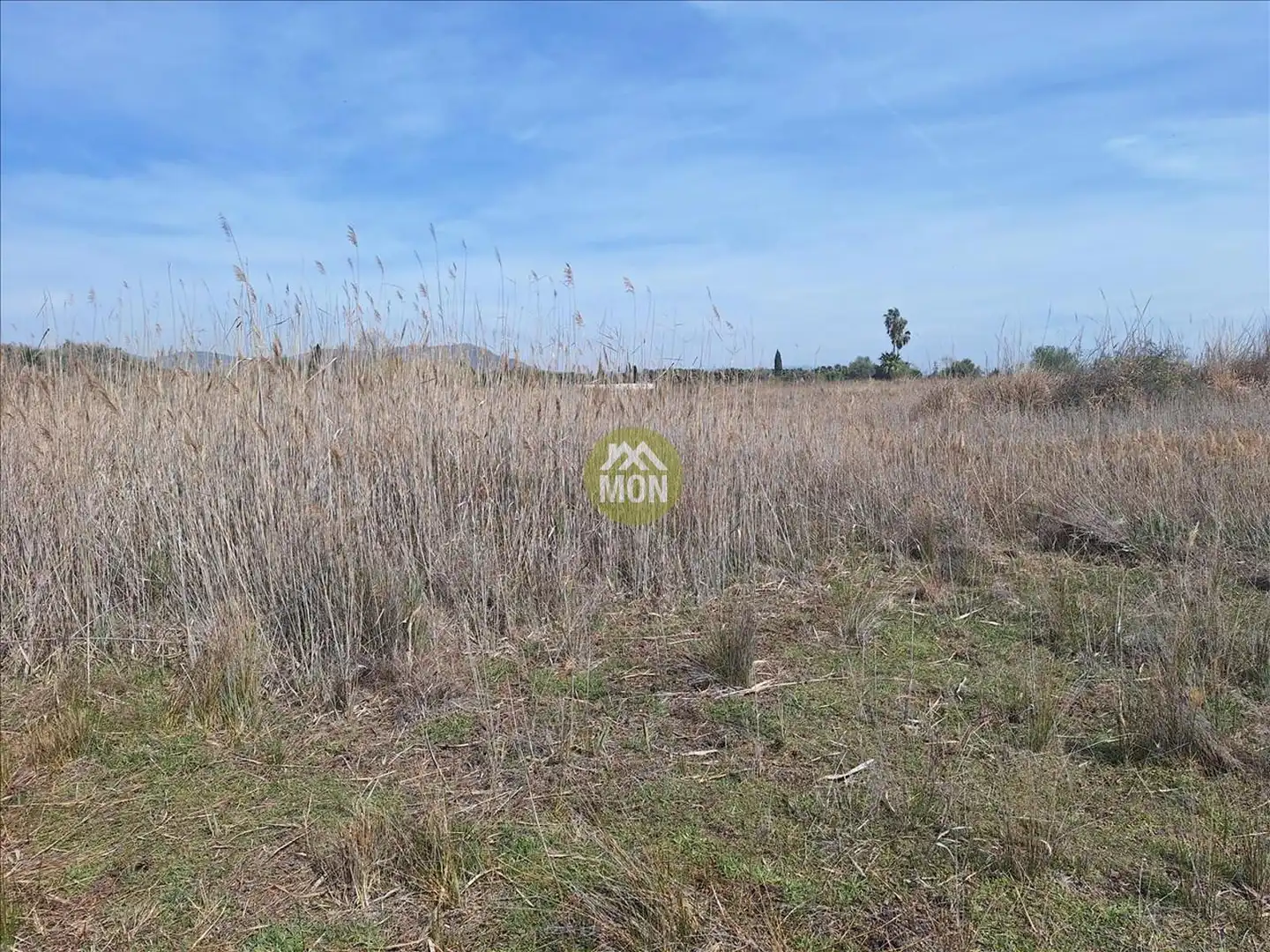Terreny residencial en venda a Playa del Puig, imagen 9