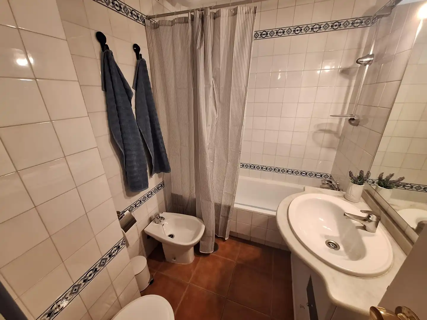 Baño de Piso de alquiler en Sevilla con Aire acondicionado y Amueblado
