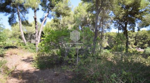 Foto 2 de Terreno en venta en Partides comunes - Adsubia, Jávea / Xàbia