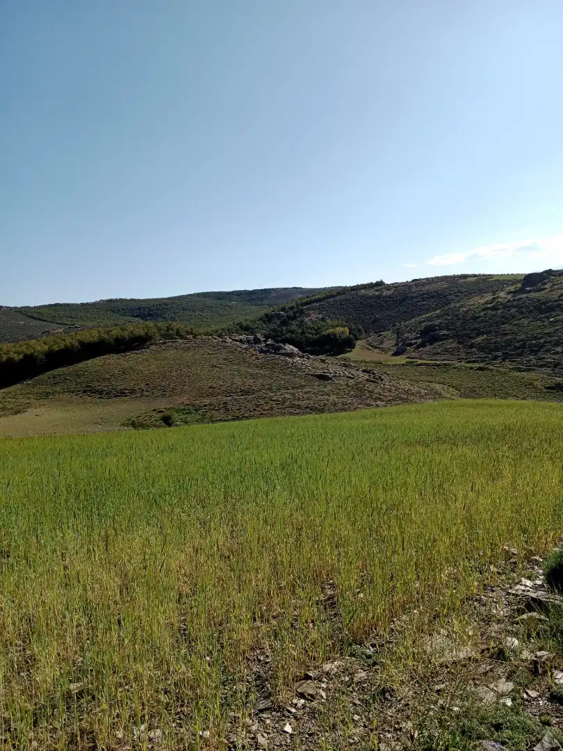 Finca rústica en venda en Velefique amb Moblat