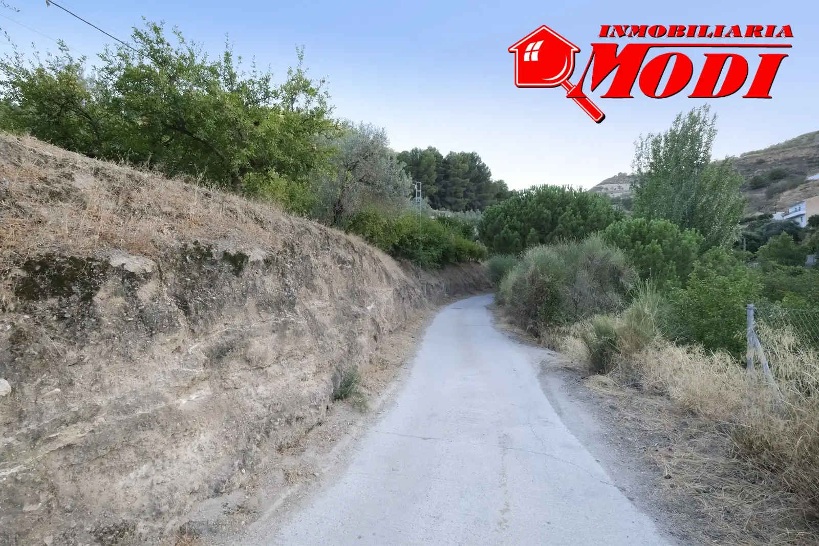 Vista exterior de Finca rústica en venta en Villamena con Jardín privado y Terraza