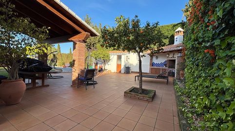 Photo 5 of Houses for sale in Manantiales - Lagar - Cortijo, Alhaurín de la Torre