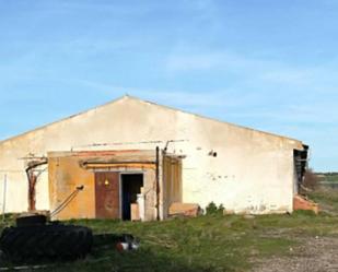 Exterior view of Industrial buildings for sale in Tolocirio