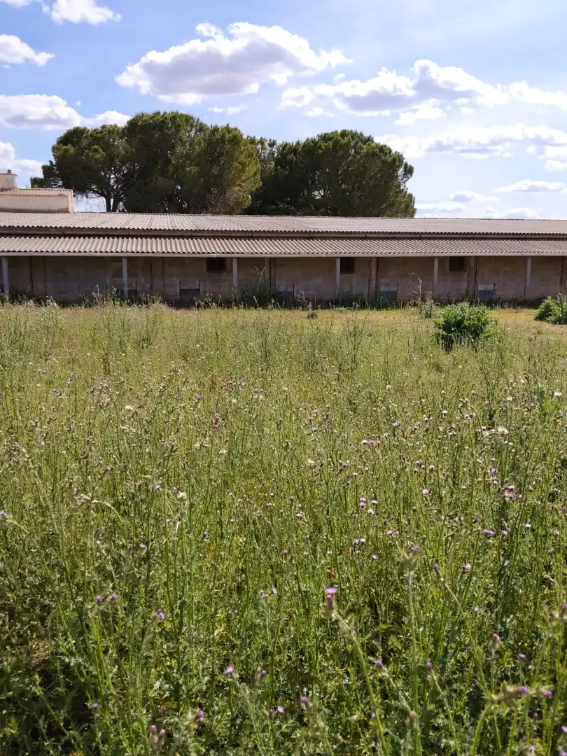 Terreni e lotti in vendita a Casasimarro, imagen 10