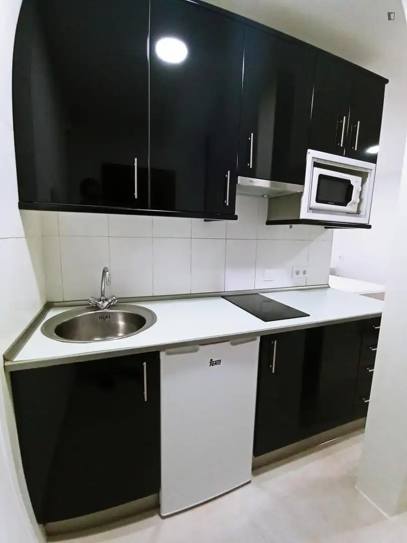 Monolocale in affitto a Centro, imagen 16