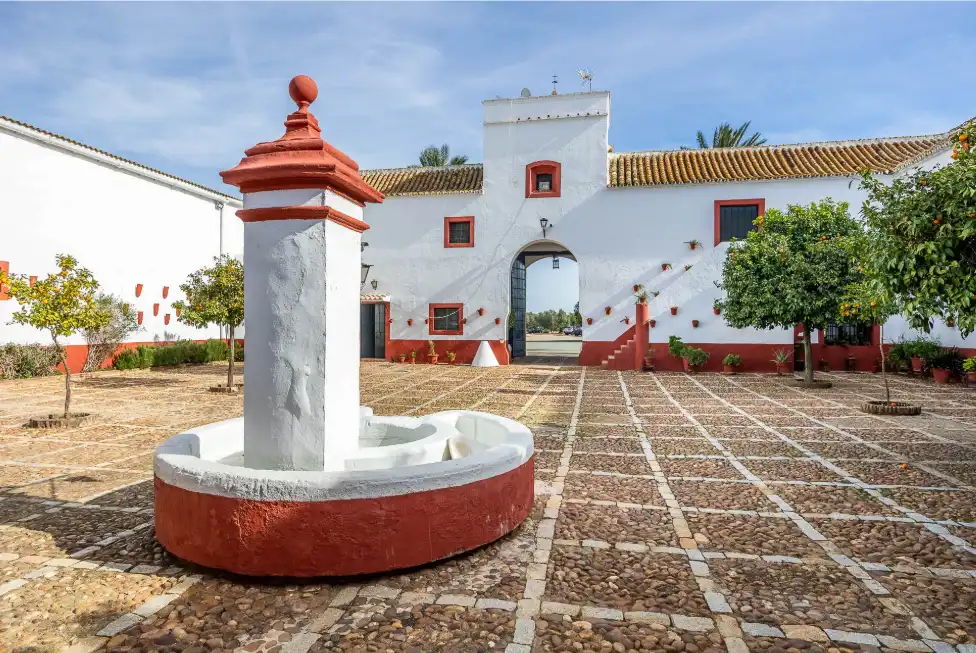 Casa rústica amb terrassa en venda a Carretera Guadajoz, imagen 27
