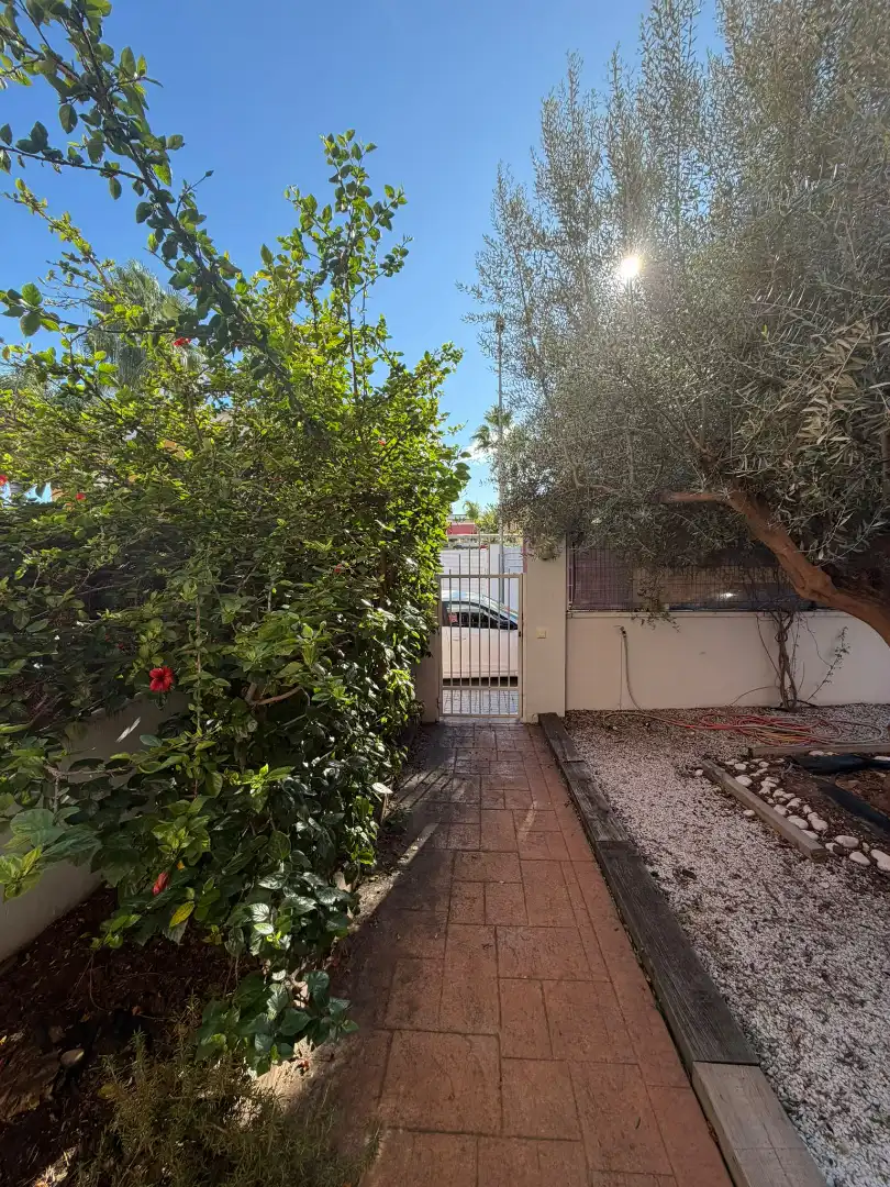 Detached homes for rent in Riba-roja de Túria
