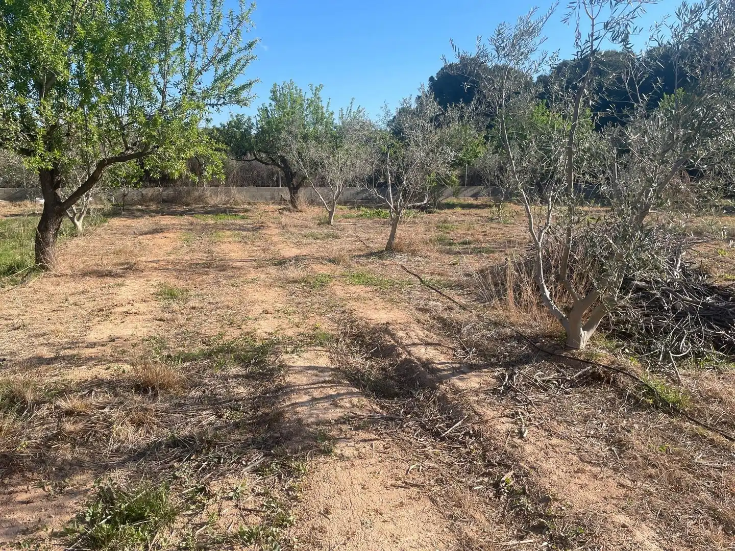 Residential land for sale in Urbanizaciones, imagen 2