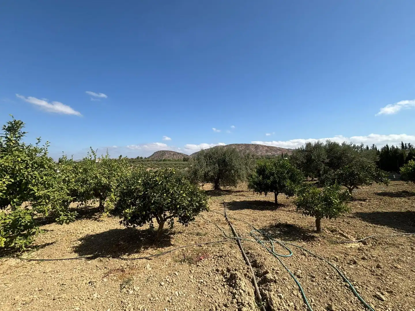 Casa rústica amb piscina en venda a Camino de Los Javieles, imagen 30