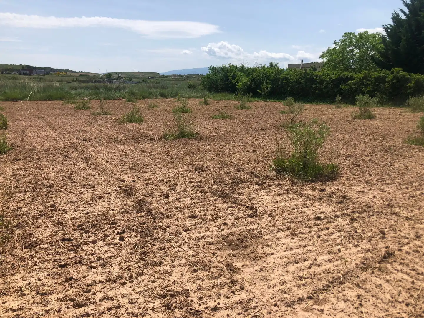 Terreny rústic en venda a Murillo de Río Leza, imagen 5