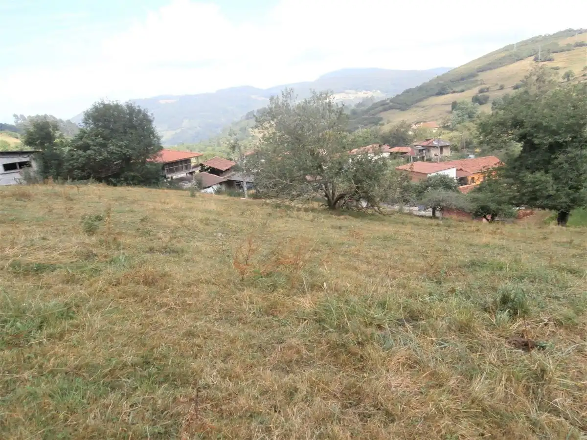 Terrenos y solares en venta en Salas, imagen 4