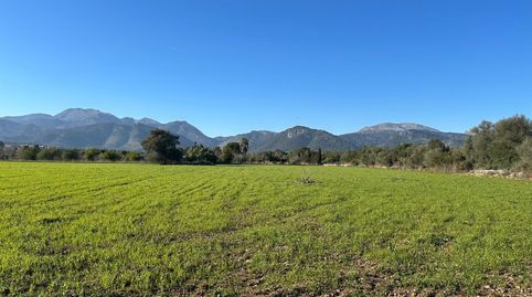 Photo 5 of Residential for sale in Selva, Illes Balears