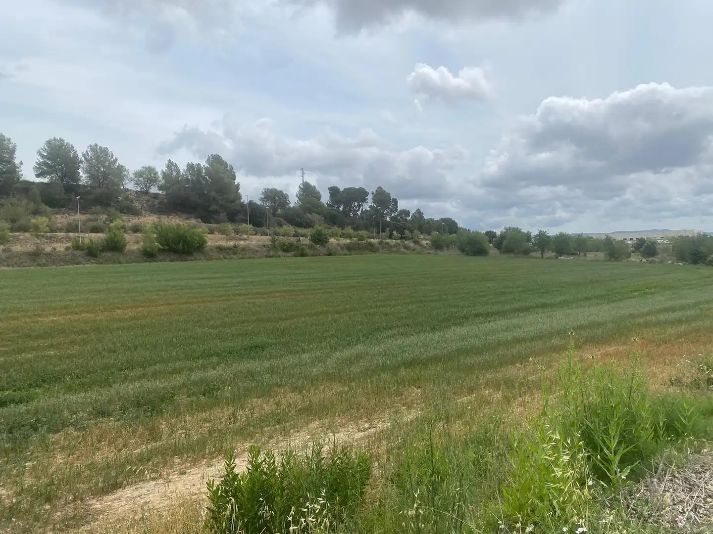 Terreny industrial en venda en Vilafranca del Penedès