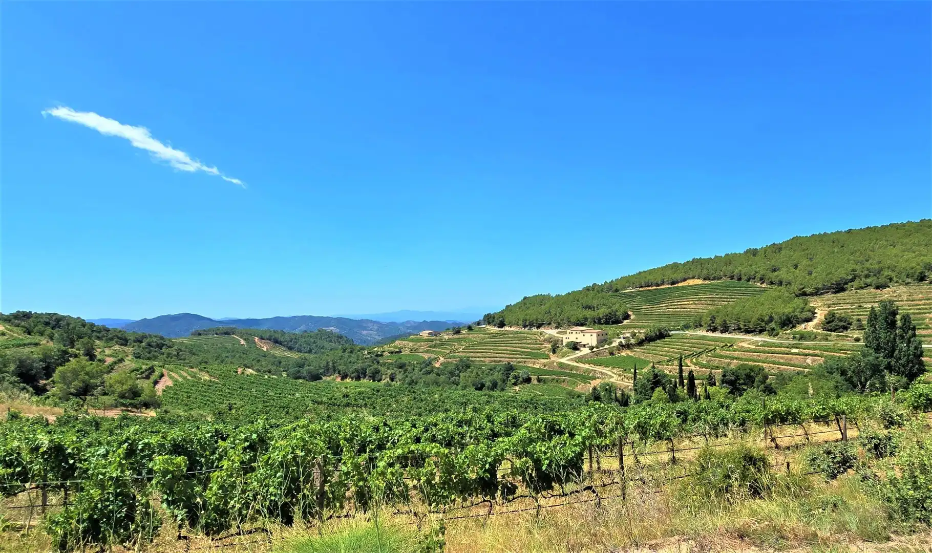 Vista exterior de Casa o xalet en venda en La Morera de Montsant amb Calefacció, Terrassa i Traster