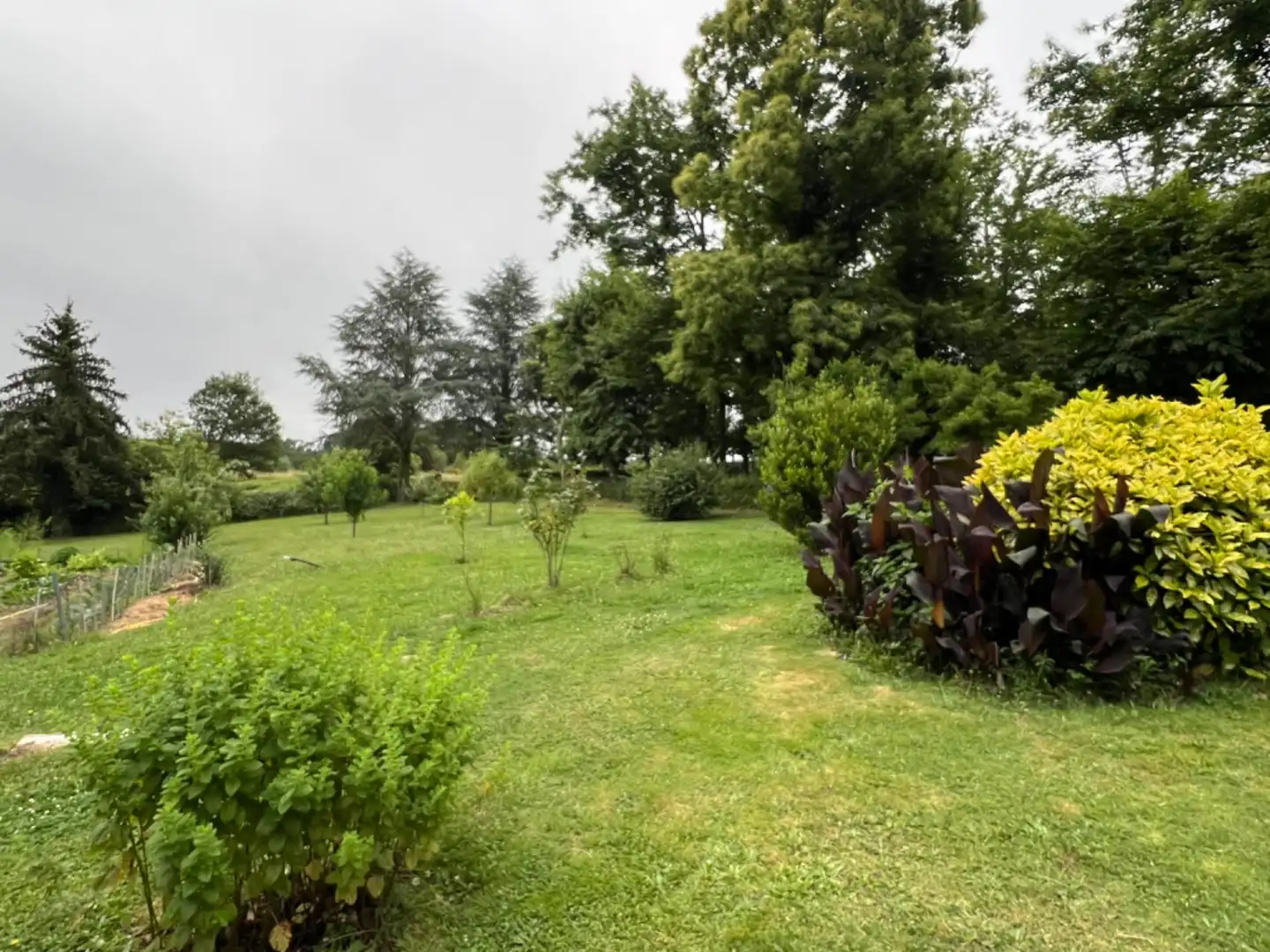 Casa o xalet en venda en Celanova amb Calefacció, Jardí privat i Terrassa