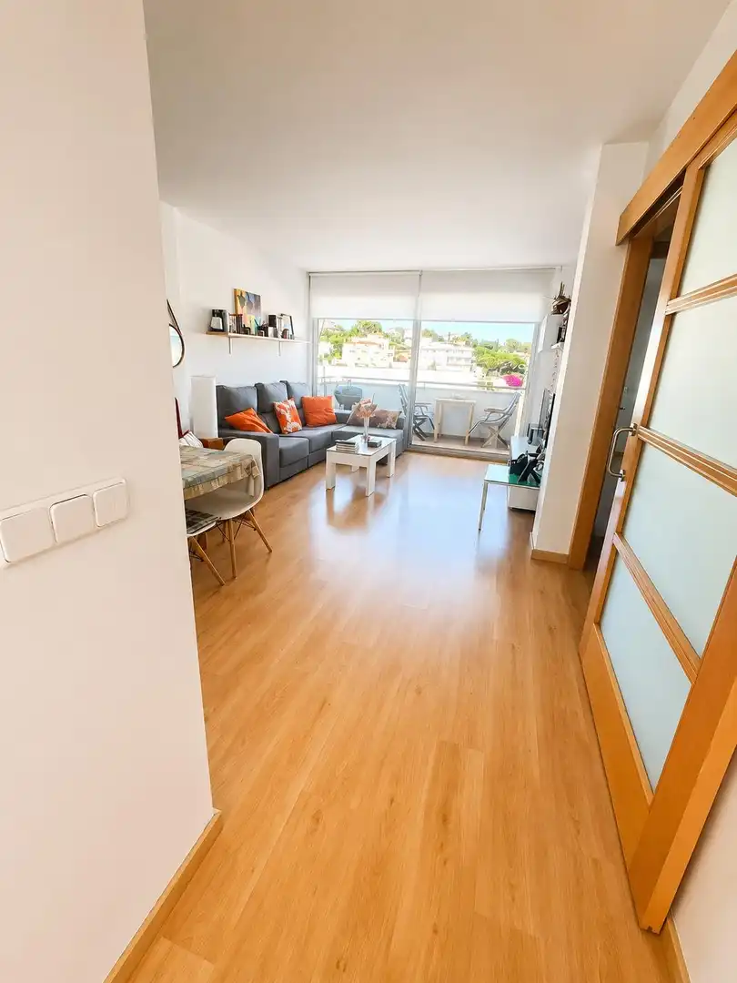 Sala d'estar de Àtic en venda en Llançà amb Aire condicionat, Terrassa i Traster