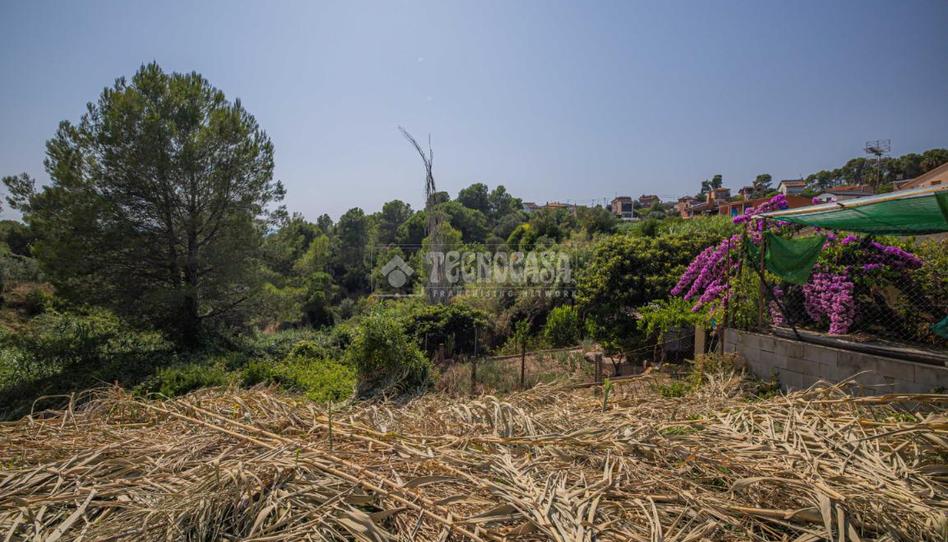 Foto 1 de Residencial en venda a Els Avets - Can Serrafossà - Ximelis, Barcelona