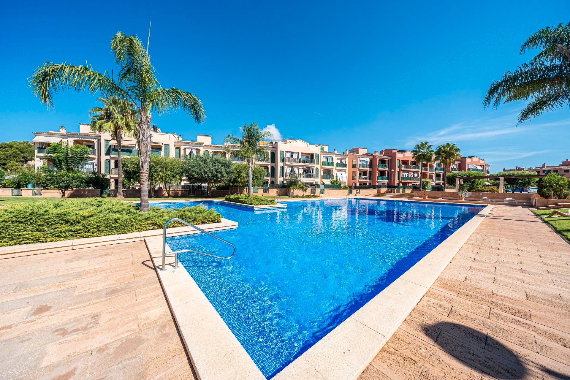 Swimming pool of Flat to rent in  Palma de Mallorca