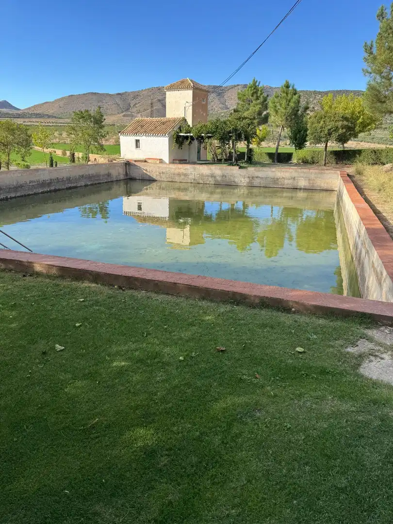 Piscina de Finca rústica en venta en Huéscar