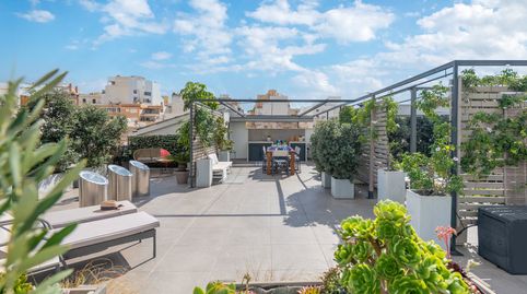 Foto 4 de Casa o chalet en venta en Cort, Palma de Mallorca