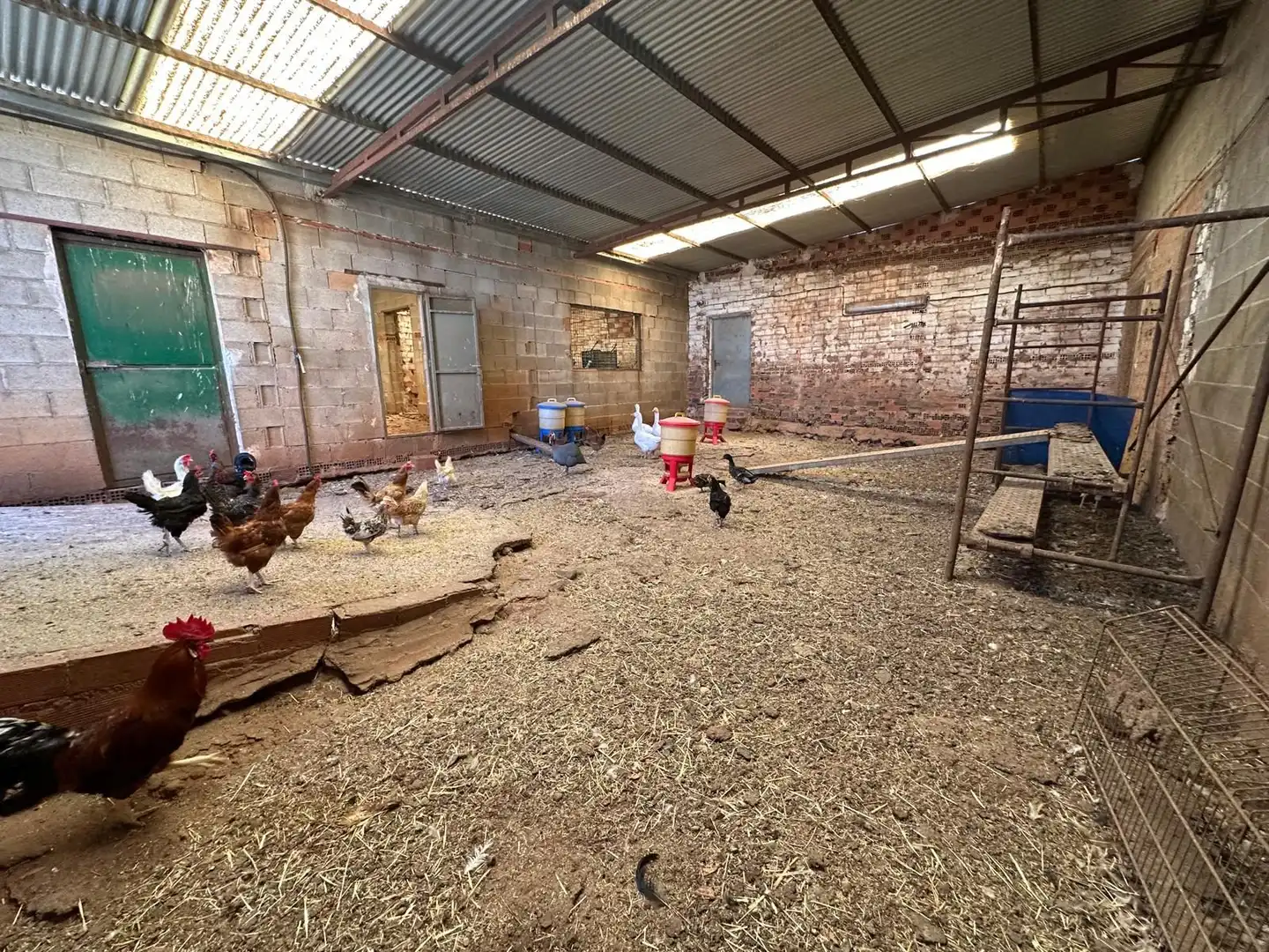 Rural land for sale in Carretera Valdepeñas-Ciudad Real, imagen 78