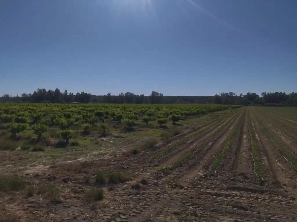 Terreno en venta en Campo Lugar