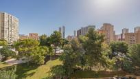 Vista exterior de Apartament en venda en Benidorm amb Terrassa