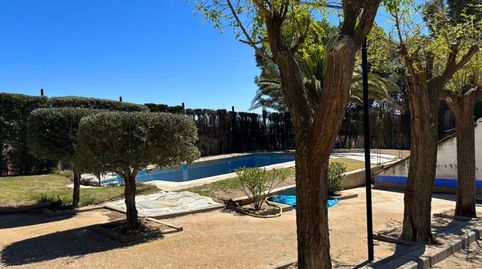 Foto 3 de Finca rústica en venta en Campo de Criptana, Ciudad Real