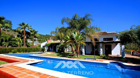 Photo 4 of Premises for sale in Diseminados 306  Os, Frigiliana, Málaga